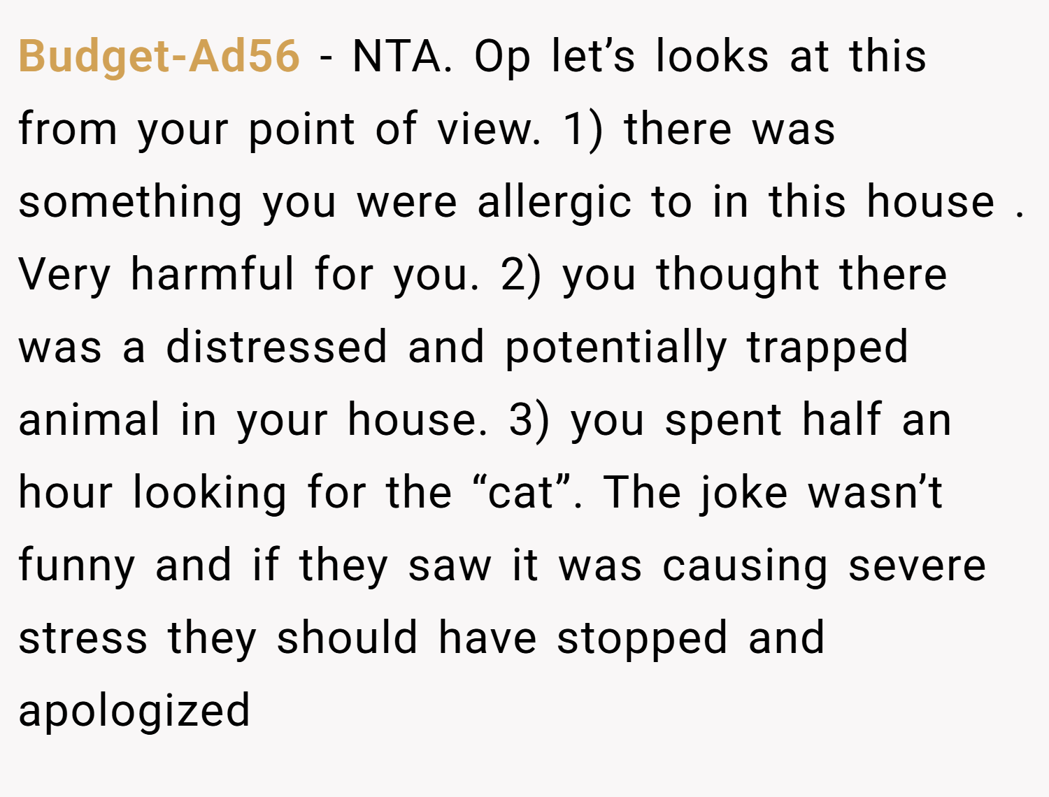 Budget-Ad56 − NTA. Op let’s looks at this from your point of view. 1) there was something you were allergic to in this house . Very harmful for you. 2) you thought there was a distressed and potentially trapped animal in your house. 3) you spent half an hour looking for the “cat”. The joke wasn’t funny and if they saw it was causing severe stress they should have stopped and apologized