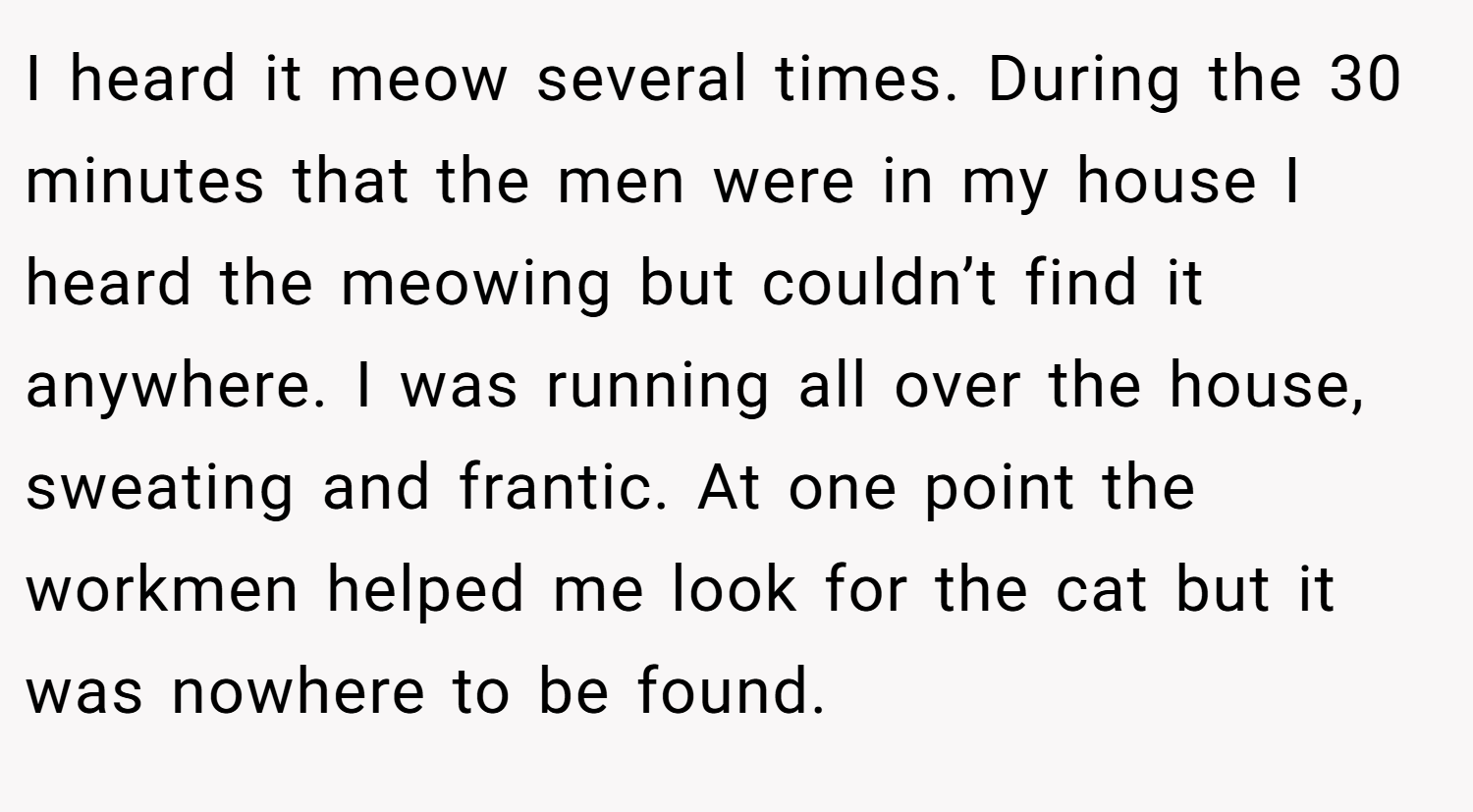 I heard it meow several times. During the 30 minutes that the men were in my house I heard the meowing but couldn’t find it anywhere. I was running all over the house, sweating and frantic. At one point the workmen helped me look for the cat but it was nowhere to be found.