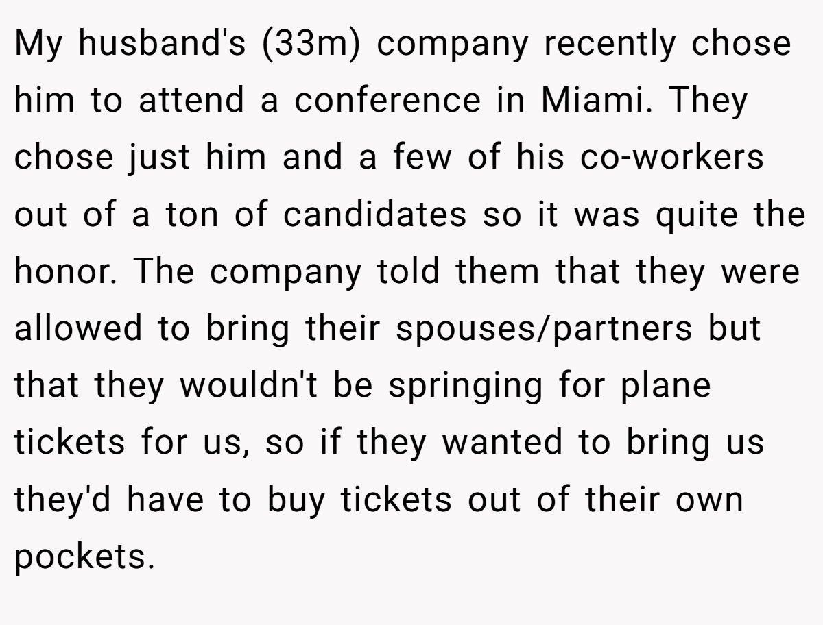 My husband's (33m) company recently chose him to attend a conference in Miami. They chose just him and a few of his co-workers out of a ton of candidates so it was quite the honor. The company told them that they were allowed to bring their spouses/partners but that they wouldn't be springing for plane tickets for us, so if they wanted to bring us they'd have to buy tickets out of their own pockets.