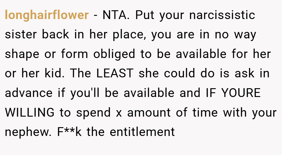 longhairflower − NTA. Put your narcissistic sister back in her place, you are in no way shape or form obliged to be available for her or her kid. The LEAST she could do is ask in advance if you'll be available and IF YOURE WILLING to spend x amount of time with your nephew. F**k the entitlement