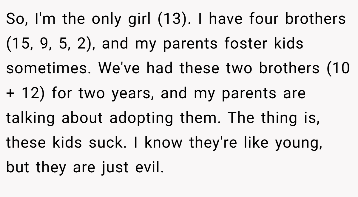 So, I'm the only girl (13). I have four brothers (15, 9, 5, 2), and my parents foster kids sometimes. We've had these two brothers (10 + 12) for two years, and my parents are talking about adopting them. The thing is, these kids suck. I know they're like young, but they are just evil.