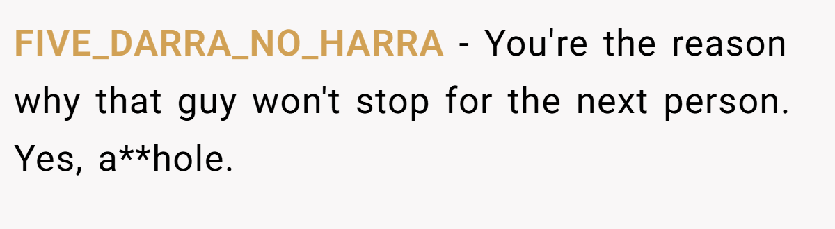 FIVE_DARRA_NO_HARRA − You're the reason why that guy won't stop for the next person. Yes, a**hole.