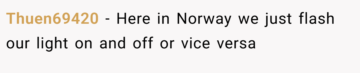 Thuen69420 − Here in Norway we just flash our light on and off or vice versa