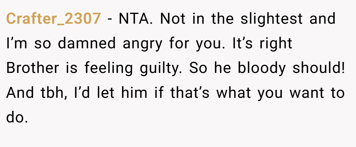 Crafter_2307 - NTA. Not in the slightest and I’m so damned angry for you. It’s right Brother is feeling guilty. So he bloody should! And tbh, I’d let him if that’s what you want to do.