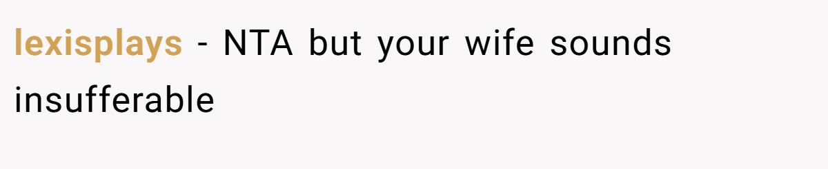 lexisplays − NTA but your wife sounds insufferable