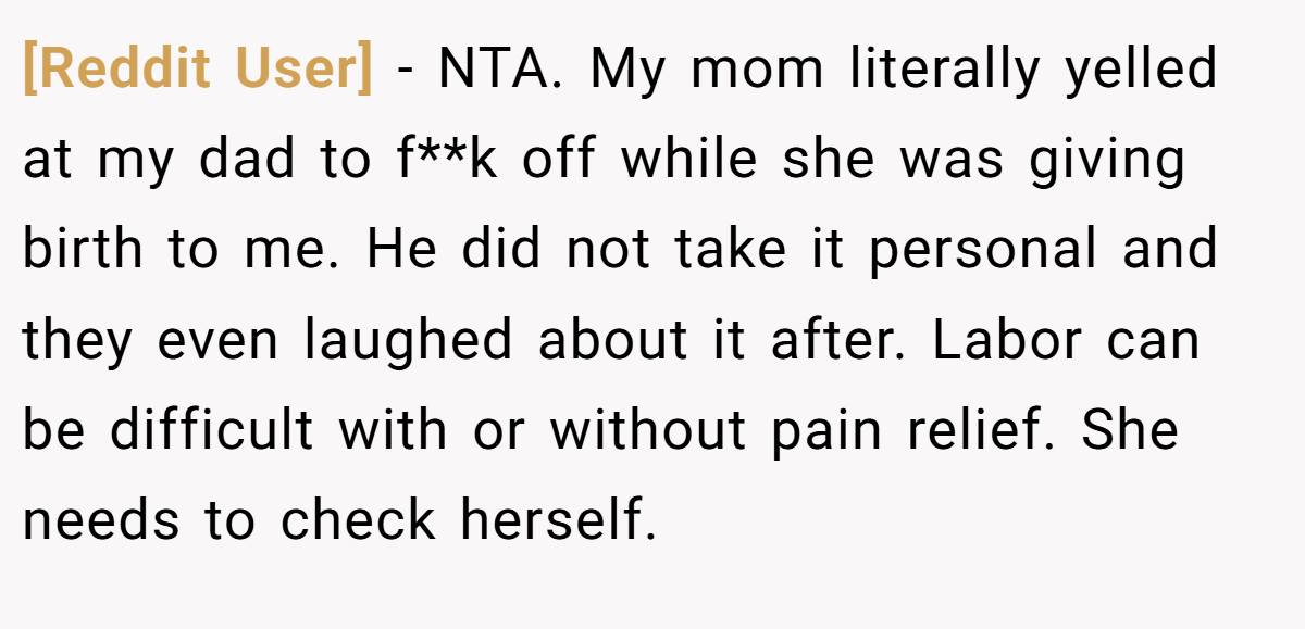 [Reddit User] - NTA. My mom literally yelled at my dad to f**k off while she was giving birth to me. He did not take it personal and they even laughed about it after. Labor can be difficult with or without pain relief. She needs to check herself.