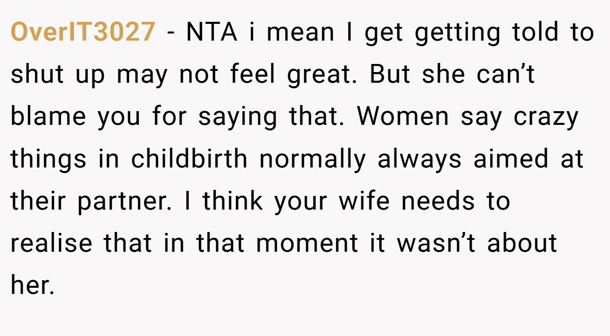 OverIT3027 - NTA i mean I get getting told to shut up may not feel great. But she can’t blame you for saying that. Women say crazy things in childbirth normally always aimed at their partner. I think your wife needs to realise that in that moment it wasn’t about her.