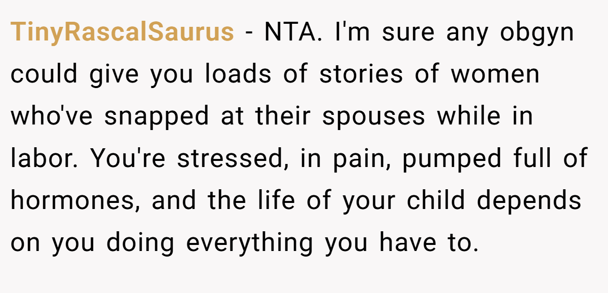 TinyRascalSaurus - NTA. I'm sure any obgyn could give you loads of stories of women who've snapped at their spouses while in labor. You're stressed, in pain, pumped full of hormones, and the life of your child depends on you doing everything you have to.