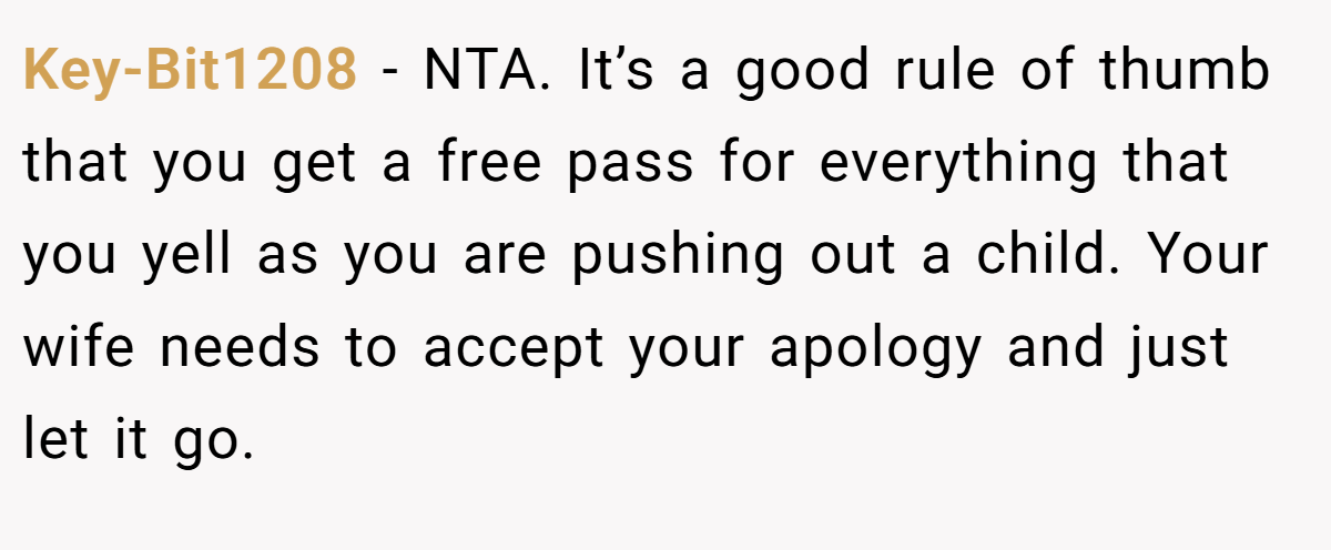 Key-Bit1208 - NTA. It’s a good rule of thumb that you get a free pass for everything that you yell as you are pushing out a child. Your wife needs to accept your apology and just let it go.