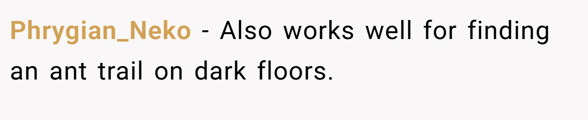 Phrygian_Neko − Also works well for finding an ant trail on dark floors.