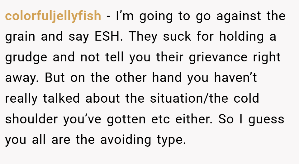 colorfuljellyfish − I’m going to go against the grain and say ESH. They suck for holding a grudge and not tell you their grievance right away. But on the other hand you haven’t really talked about the situation/the cold shoulder you’ve gotten etc either. So I guess you all are the avoiding type.