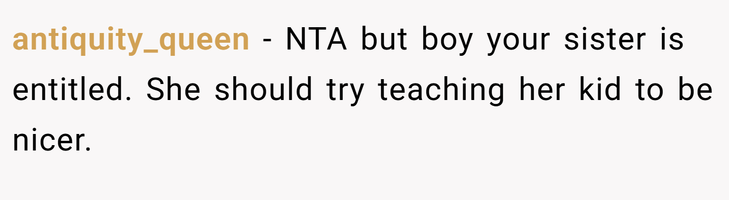 antiquity_queen − NTA but boy your sister is entitled. She should try teaching her kid to be nicer.