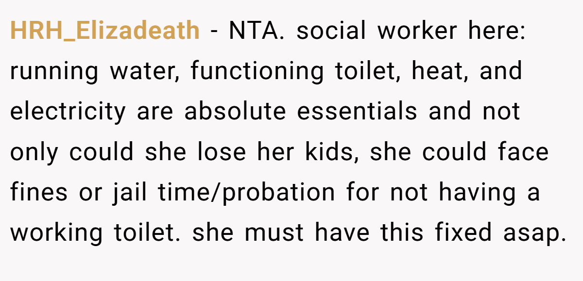 HRH_Elizadeath - NTA. social worker here: running water, functioning toilet, heat, and electricity are absolute essentials and not only could she lose her kids, she could face fines or jail time/probation for not having a working toilet. she must have this fixed asap.