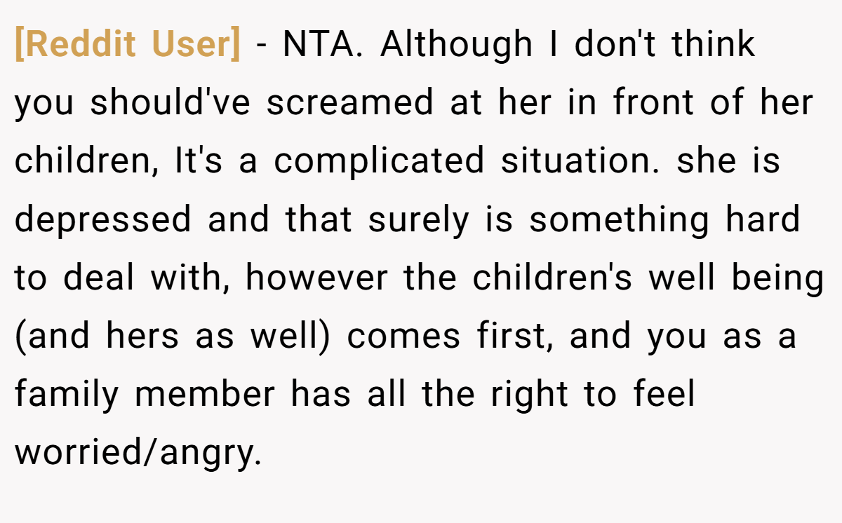 [Reddit User] - NTA. Although I don't think you should've screamed at her in front of her children, It's a complicated situation. she is depressed and that surely is something hard to deal with, however the children's well being (and hers as well) comes first, and you as a family member has all the right to feel worried/angry.