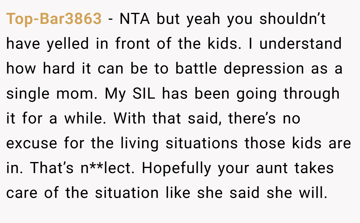 Top-Bar3863 - NTA but yeah you shouldn’t have yelled in front of the kids. I understand how hard it can be to battle depression as a single mom. My SIL has been going through it for a while. With that said, there’s no excuse for the living situations those kids are in. That’s n**lect. Hopefully your aunt takes care of the situation like she said she will.