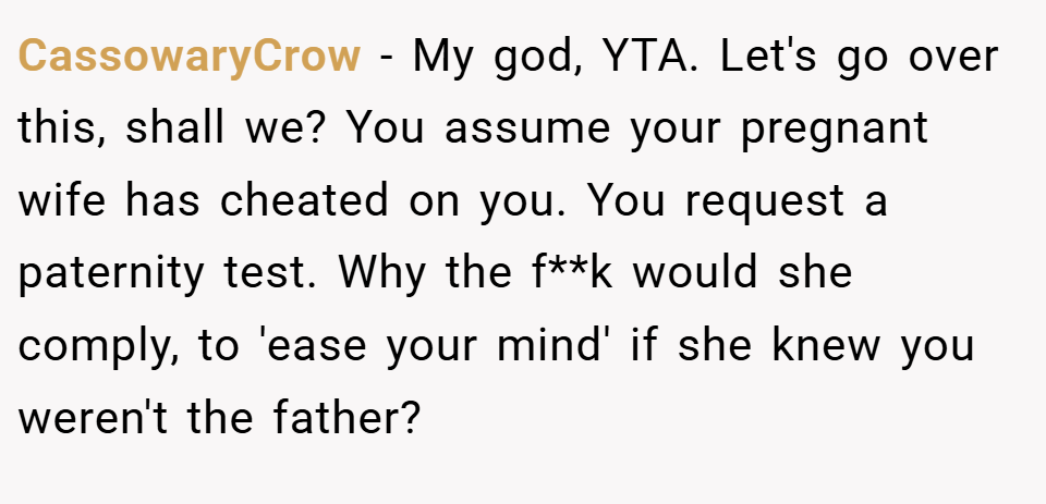 CassowaryCrow − My god, YTA. Let's go over this, shall we? You assume your pregnant wife has cheated on you. You request a paternity test. Why the f**k would she comply, to 'ease your mind' if she knew you weren't the father?