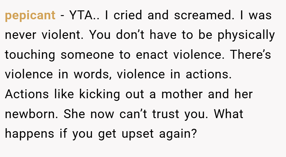 pepicant − YTA.. I cried and screamed. I was never violent. You don’t have to be physically touching someone to enact violence. There’s violence in words, violence in actions. Actions like kicking out a mother and her newborn. She now can’t trust you. What happens if you get upset again?