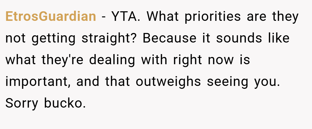 EtrosGuardian − YTA. What priorities are they not getting straight? Because it sounds like what they're dealing with right now is important, and that outweighs seeing you. Sorry bucko.