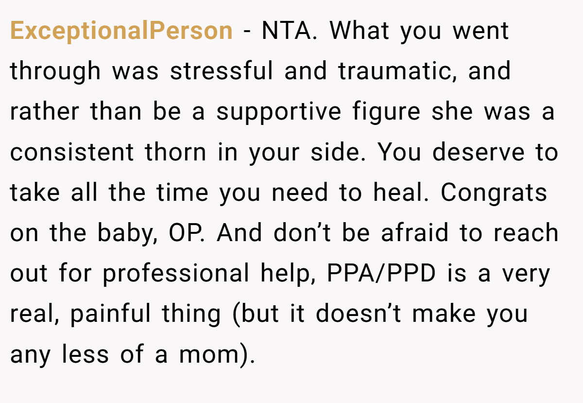 ExceptionalPerson - NTA. What you went through was stressful and traumatic, and rather than be a supportive figure she was a consistent thorn in your side. You deserve to take all the time you need to heal. Congrats on the baby, OP. And don’t be afraid to reach out for professional help, PPA/PPD is a very real, painful thing (but it doesn’t make you any less of a mom).