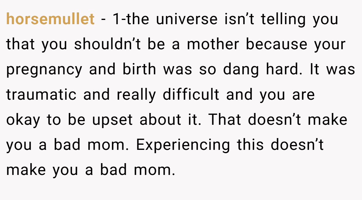 horsemullet - 1-the universe isn’t telling you that you shouldn’t be a mother because your pregnancy and birth was so dang hard. It was traumatic and really difficult and you are okay to be upset about it. That doesn’t make you a bad mom. Experiencing this doesn’t make you a bad mom.
