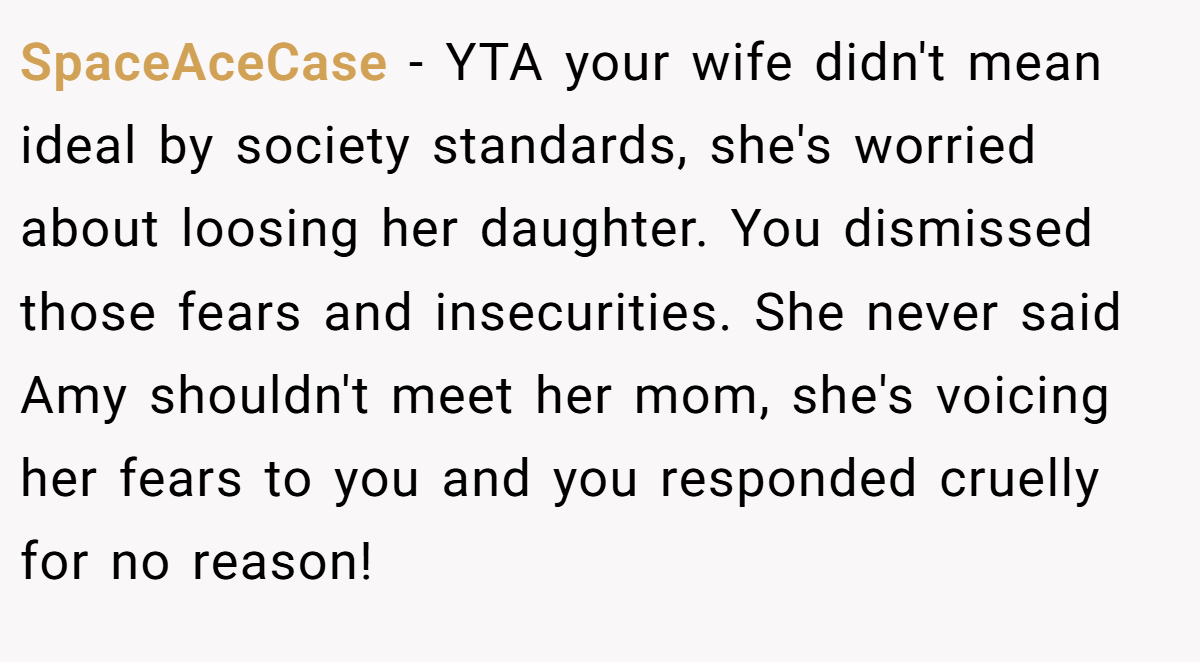 SpaceAceCase − YTA your wife didn't mean ideal by society standards, she's worried about loosing her daughter. You dismissed those fears and insecurities. She never said Amy shouldn't meet her mom, she's voicing her fears to you and you responded cruelly for no reason!