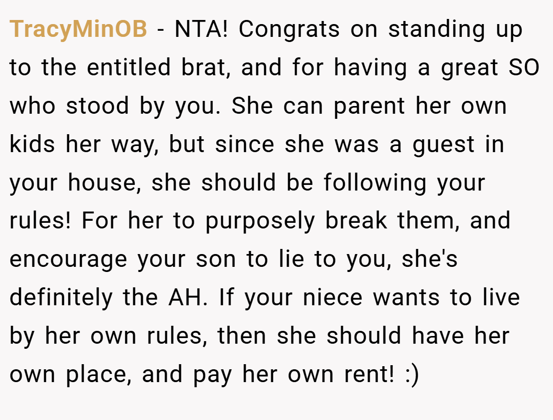 TracyMinOB − NTA! Congrats on standing up to the entitled brat, and for having a great SO who stood by you. She can parent her own kids her way, but since she was a guest in your house, she should be following your rules! For her to purposely break them, and encourage your son to lie to you, she's definitely the AH. If your niece wants to live by her own rules, then she should have her own place, and pay her own rent! :)
