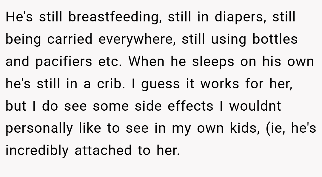 He's still breastfeeding, still in diapers, still being carried everywhere, still using bottles and pacifiers etc. When he sleeps on his own he's still in a crib. I guess it works for her, but I do see some side effects I wouldnt personally like to see in my own kids, (ie, he's incredibly attached to her.