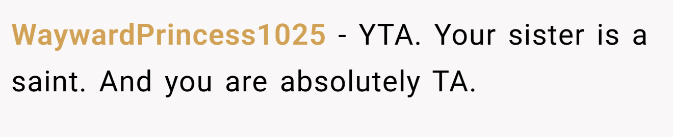 WaywardPrincess1025 - YTA. Your sister is a saint. And you are absolutely TA.