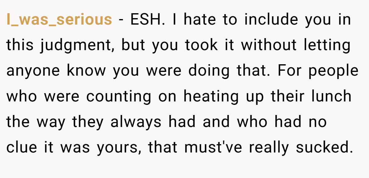 I_was_serious − ESH. I hate to include you in this judgment, but you took it without letting anyone know you were doing that. For people who were counting on heating up their lunch the way they always had and who had no clue it was yours, that must've really sucked.