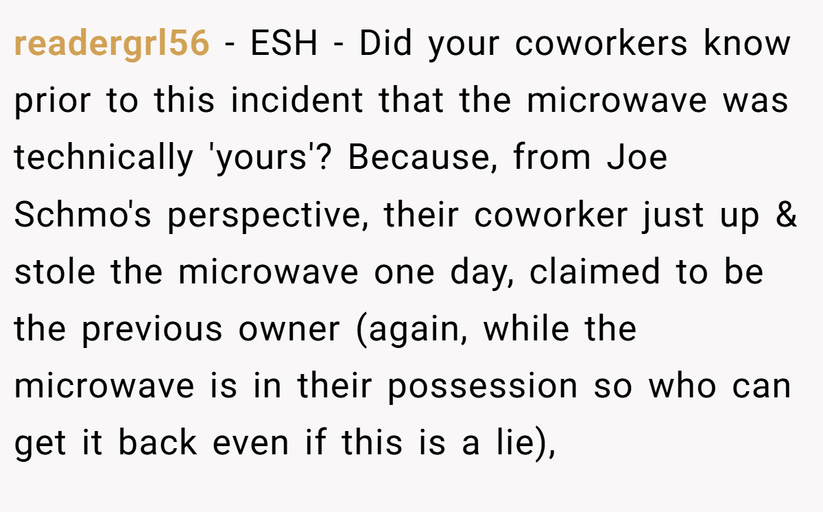 readergrl56 − ESH - Did your coworkers know prior to this incident that the microwave was technically 'yours'? Because, from Joe Schmo's perspective, their coworker just up & stole the microwave one day, claimed to be the previous owner (again, while the microwave is in their possession so who can get it back even if this is a lie),