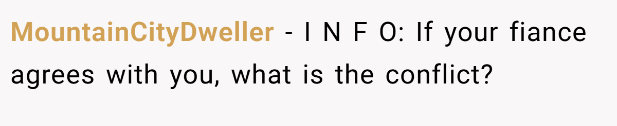 MountainCityDweller - I N F O: If your fiance agrees with you, what is the conflict?