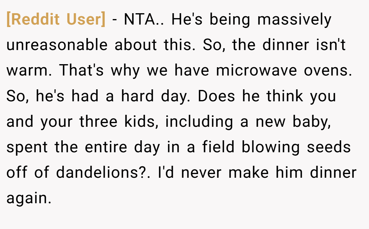[Reddit User] − NTA.. He's being massively unreasonable about this. So, the dinner isn't warm. That's why we have microwave ovens. So, he's had a hard day. Does he think you and your three kids, including a new baby, spent the entire day in a field blowing seeds off of dandelions?. I'd never make him dinner again.