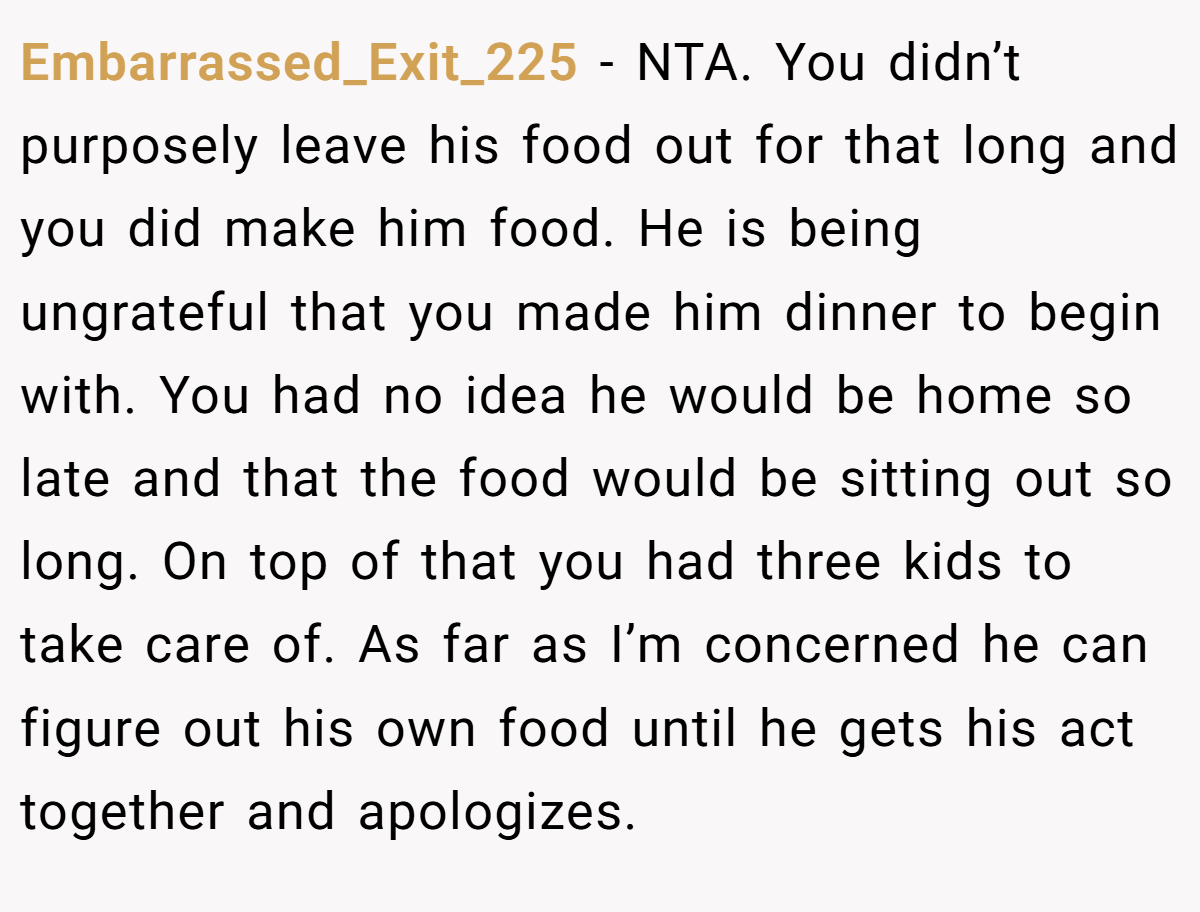 Embarrassed_Exit_225 − NTA. You didn’t purposely leave his food out for that long and you did make him food. He is being ungrateful that you made him dinner to begin with. You had no idea he would be home so late and that the food would be sitting out so long. On top of that you had three kids to take care of. As far as I’m concerned he can figure out his own food until he gets his act together and apologizes.