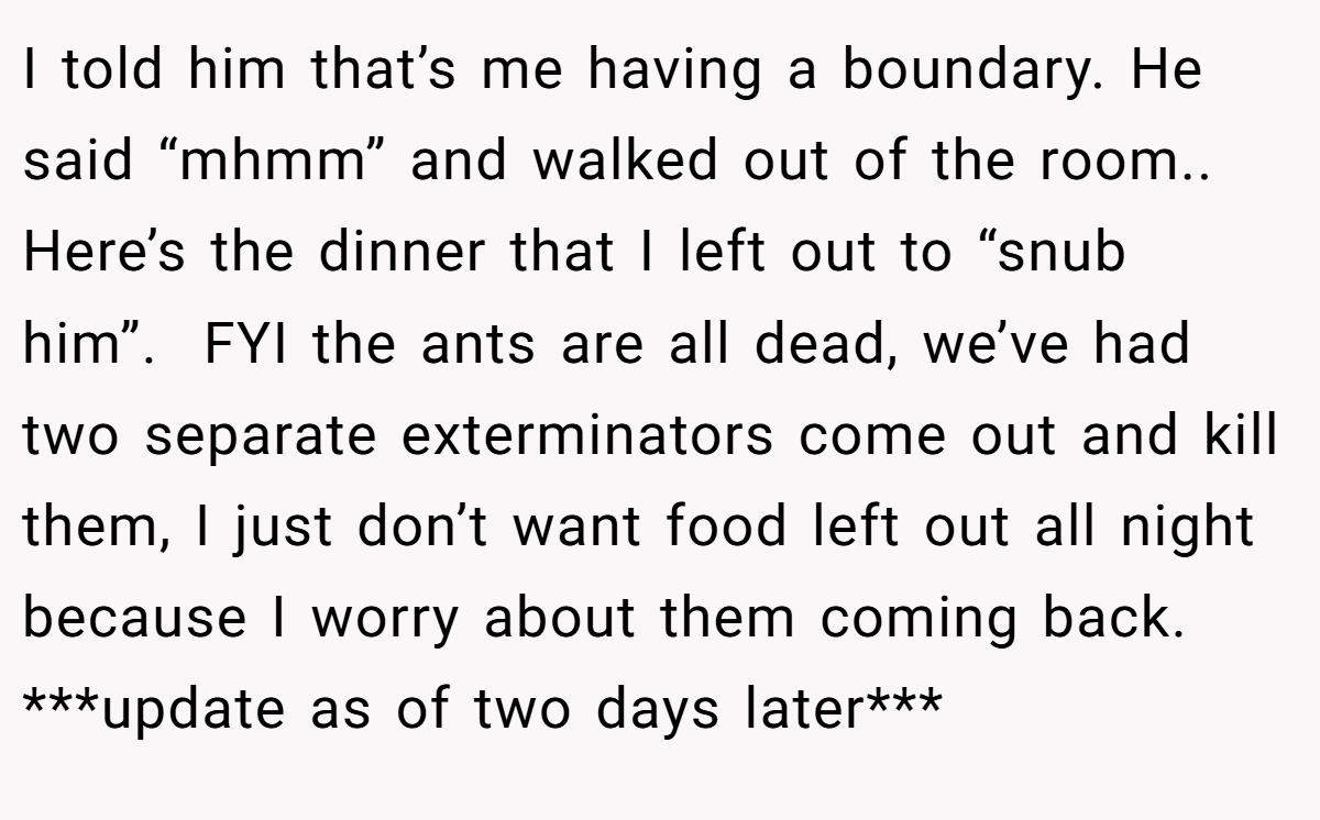 I told him that’s me having a boundary. He said “mhmm” and walked out of the room.. Here’s the dinner that I left out to “snub him”.  FYI the ants are all dead, we’ve had two separate exterminators come out and kill them, I just don’t want food left out all night because I worry about them coming back. ***update as of two days later***