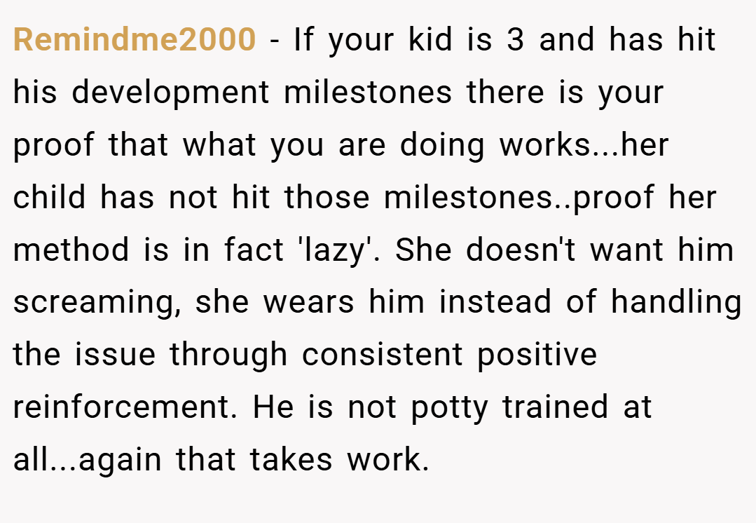 Remindme2000 − If your kid is 3 and has hit his development milestones there is your proof that what you are doing works...her child has not hit those milestones..proof her method is in fact 'lazy'. She doesn't want him screaming, she wears him instead of handling the issue through consistent positive reinforcement. He is not potty trained at all...again that takes work.