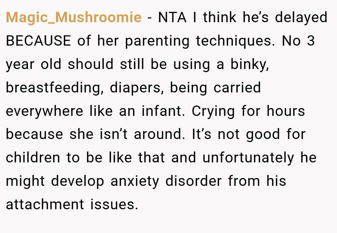 Magic_Mushroomie − NTA I think he’s delayed BECAUSE of her parenting techniques. No 3 year old should still be using a binky, breastfeeding, diapers, being carried everywhere like an infant. Crying for hours because she isn’t around. It’s not good for children to be like that and unfortunately he might develop anxiety disorder from his attachment issues.