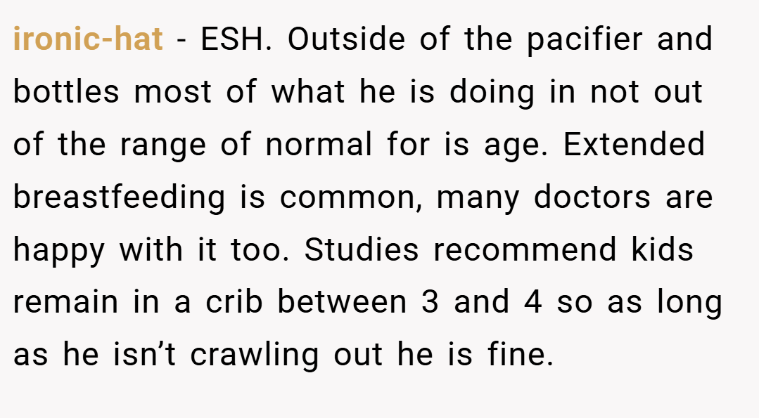 ironic-hat − ESH. Outside of the pacifier and bottles most of what he is doing in not out of the range of normal for is age. Extended breastfeeding is common, many doctors are happy with it too. Studies recommend kids remain in a crib between 3 and 4 so as long as he isn’t crawling out he is fine.