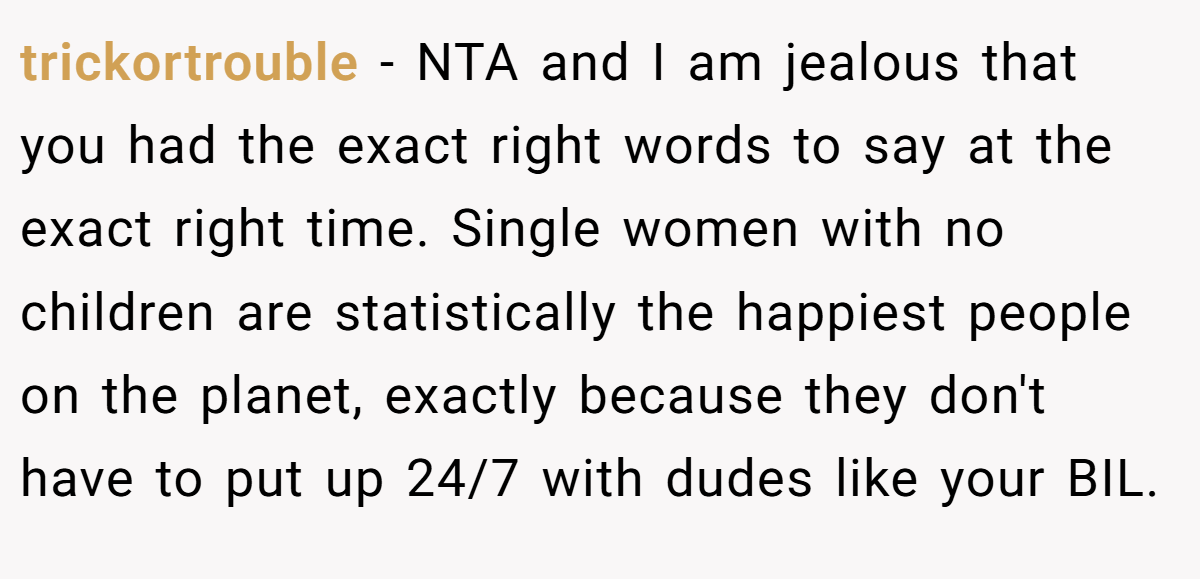 trickortrouble − NTA and I am jealous that you had the exact right words to say at the exact right time. Single women with no children are statistically the happiest people on the planet, exactly because they don't have to put up 24/7 with dudes like your BIL.