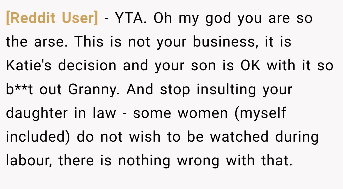 [Reddit User] - YTA. Oh my god you are so the arse. This is not your business, it is Katie's decision and your son is OK with it so b**t out Granny. And stop insulting your daughter in law - some women (myself included) do not wish to be watched during labour, there is nothing wrong with that.