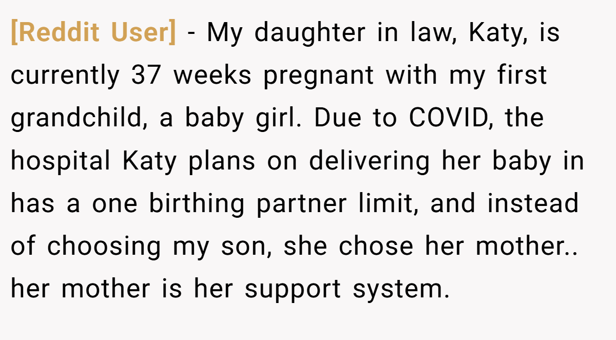 [Reddit User] - My daughter in law, Katy, is currently 37 weeks pregnant with my first grandchild, a baby girl. Due to COVID, the hospital Katy plans on delivering her baby in has a one birthing partner limit, and instead of choosing my son, she chose her mother.. her mother is her support system.