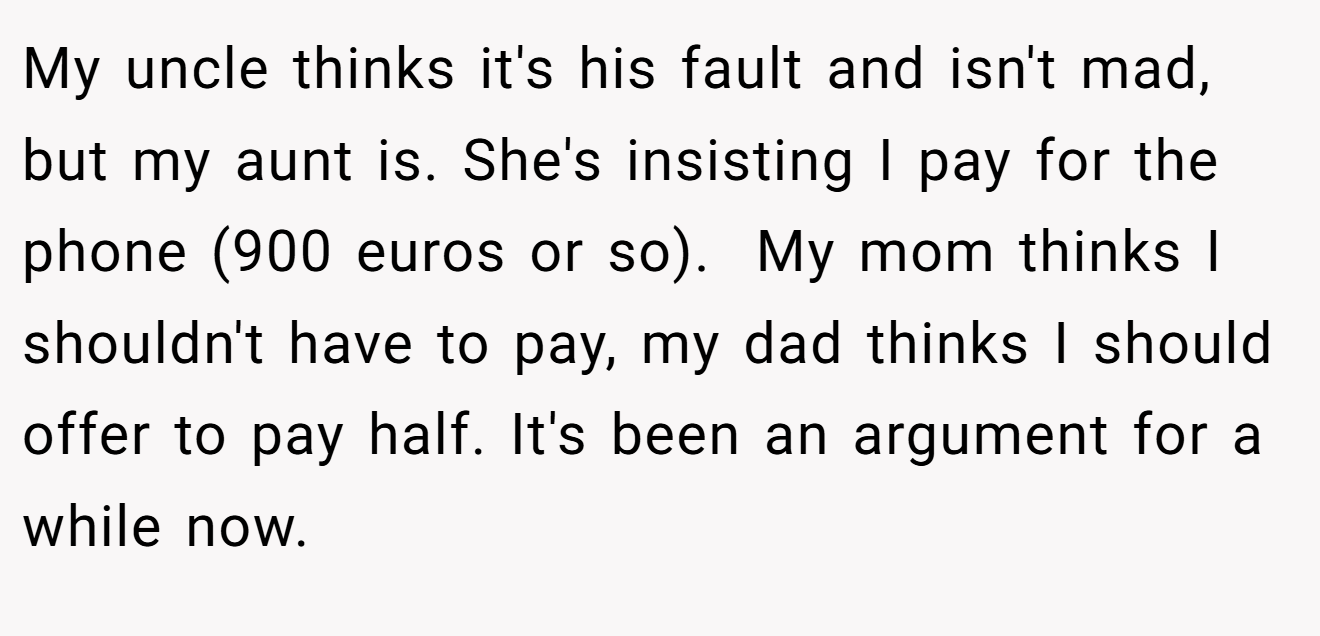 My uncle thinks it's his fault and isn't mad, but my aunt is. She's insisting I pay for the phone (900 euros or so).  My mom thinks I shouldn't have to pay, my dad thinks I should offer to pay half. It's been an argument for a while now.