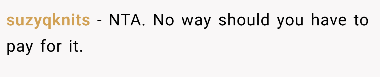 suzyqknits - NTA. No way should you have to pay for it.