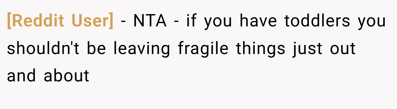 [Reddit User] - NTA - if you have toddlers you shouldn't be leaving fragile things just out and about