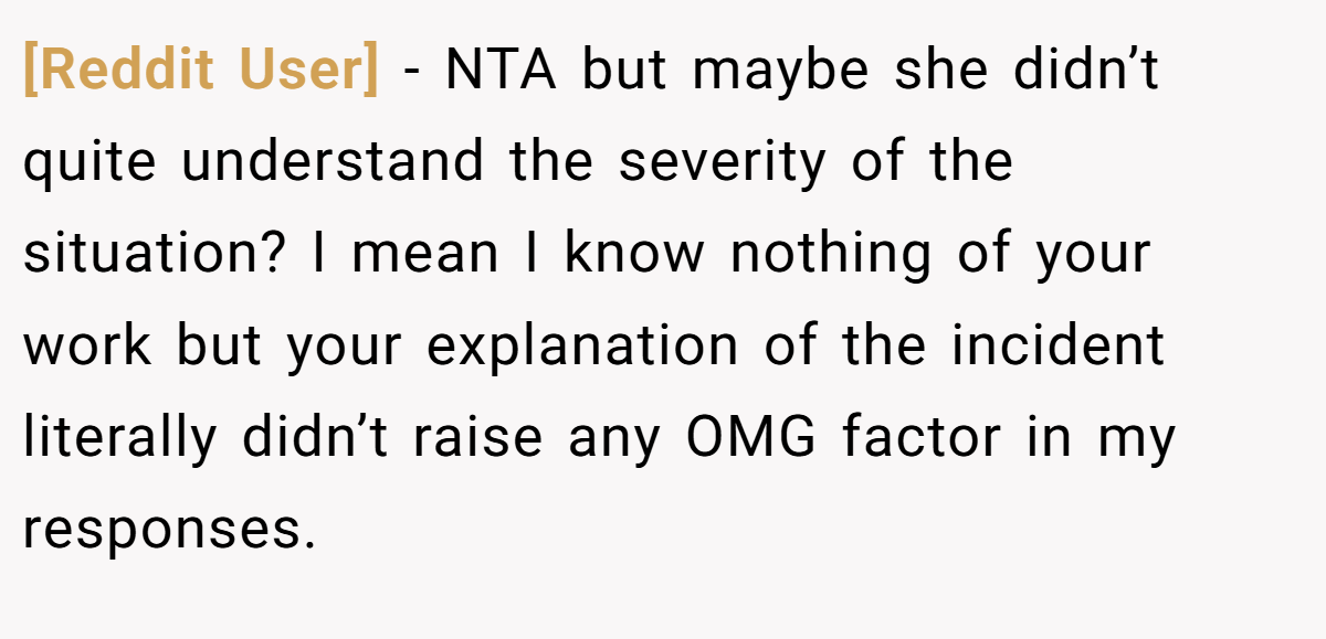 [Reddit User] - NTA but maybe she didn’t quite understand the severity of the situation? I mean I know nothing of your work but your explanation of the incident literally didn’t raise any OMG factor in my responses.