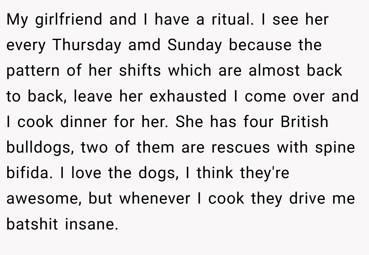 My girlfriend and I have a ritual. I see her every Thursday amd Sunday because the pattern of her shifts which are almost back to back, leave her exhausted I come over and I cook dinner for her. She has four British bulldogs, two of them are rescues with spine bifida. I love the dogs, I think they're awesome, but whenever I cook they drive me batshit insane.