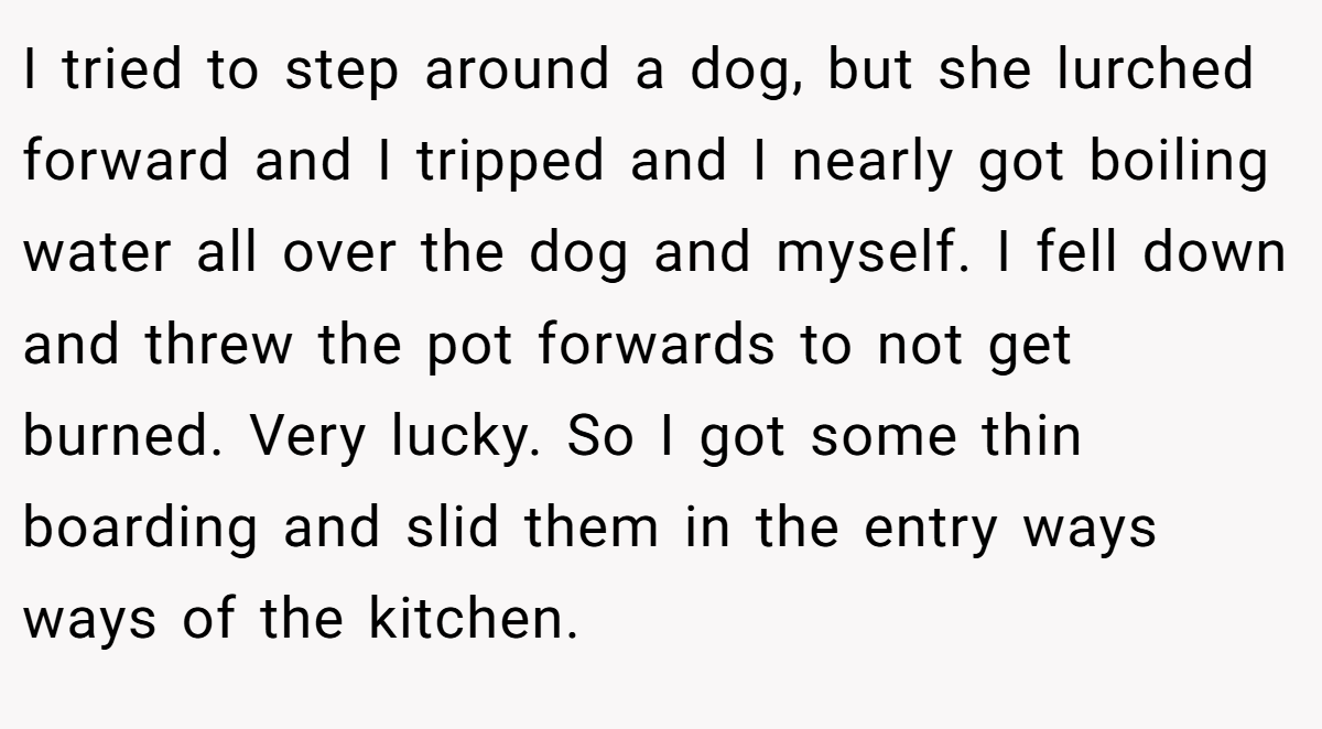 I tried to step around a dog, but she lurched forward and I tripped and I nearly got boiling water all over the dog and myself. I fell down and threw the pot forwards to not get burned. Very lucky. So I got some thin boarding and slid them in the entry ways ways of the kitchen.