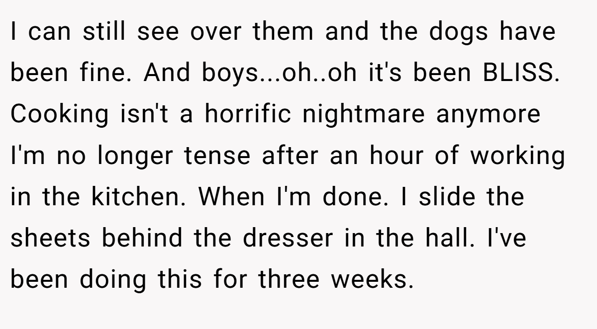 I can still see over them and the dogs have been fine. And boys...oh..oh it's been BLISS. Cooking isn't a horrific nightmare anymore I'm no longer tense after an hour of working in the kitchen. When I'm done. I slide the sheets behind the dresser in the hall. I've been doing this for three weeks.