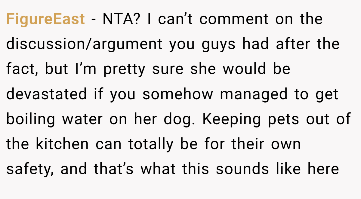 FigureEast - NTA? I can’t comment on the discussion/argument you guys had after the fact, but I’m pretty sure she would be devastated if you somehow managed to get boiling water on her dog. Keeping pets out of the kitchen can totally be for their own safety, and that’s what this sounds like here