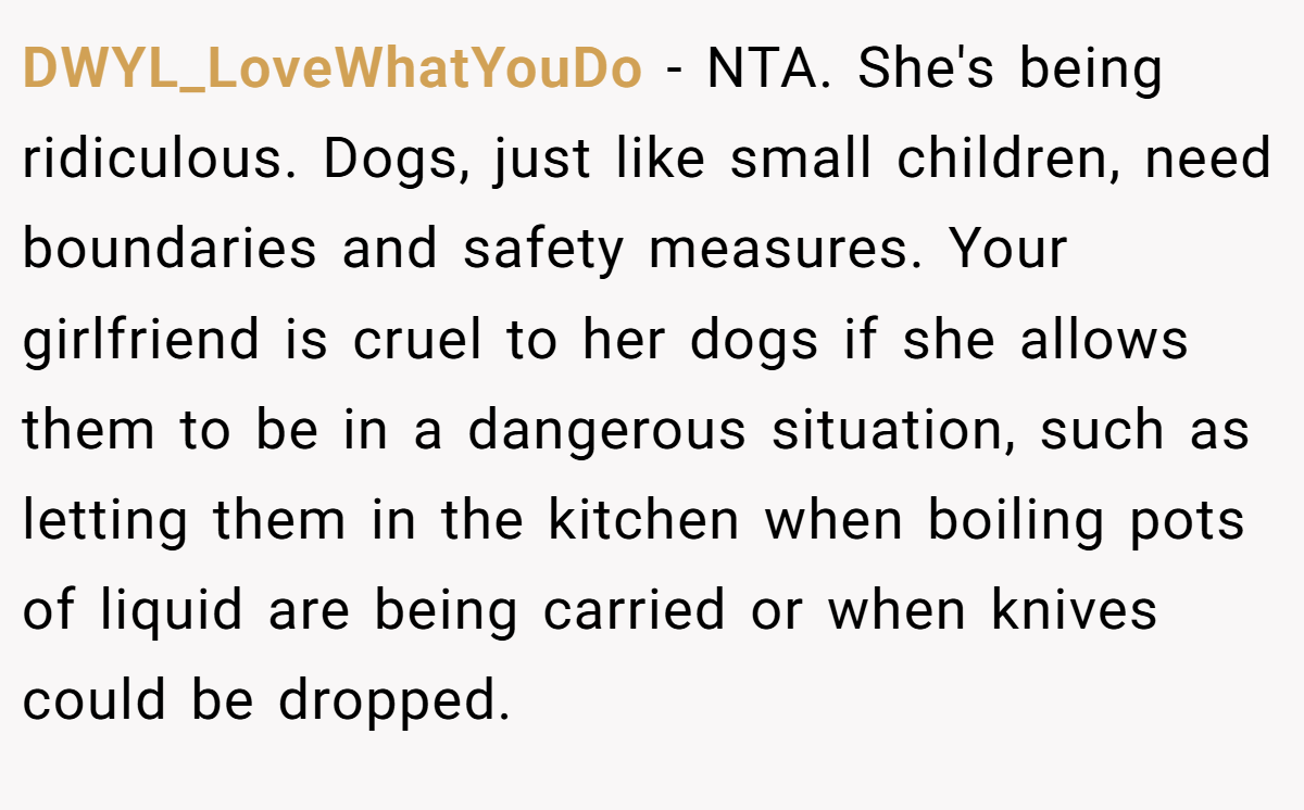 DWYL_LoveWhatYouDo - NTA. She's being ridiculous. Dogs, just like small children, need boundaries and safety measures. Your girlfriend is cruel to her dogs if she allows them to be in a dangerous situation, such as letting them in the kitchen when boiling pots of liquid are being carried or when knives could be dropped.