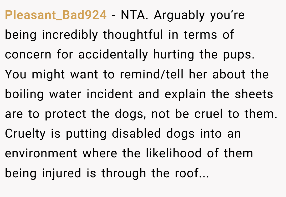 Pleasant_Bad924 - NTA. Arguably you’re being incredibly thoughtful in terms of concern for accidentally hurting the pups. You might want to remind/tell her about the boiling water incident and explain the sheets are to protect the dogs, not be cruel to them. Cruelty is putting disabled dogs into an environment where the likelihood of them being injured is through the roof...